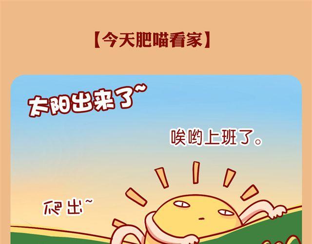 今天肥喵看家-第20话