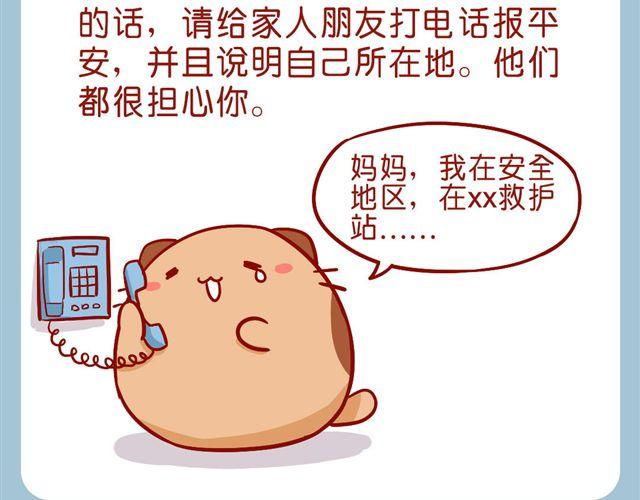 今天肥喵看家-第20话