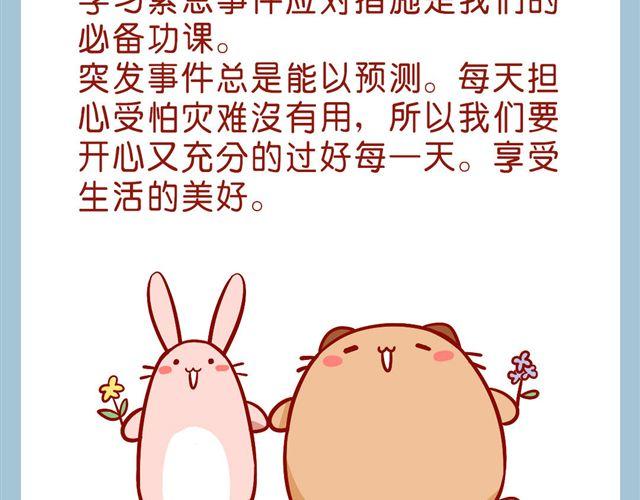 今天肥喵看家-第20话