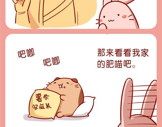 简单快速懒人盖饭-第22话