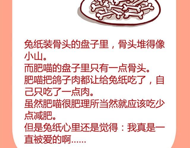 肥喵與兔紙 - 日常中的小感動 - 1