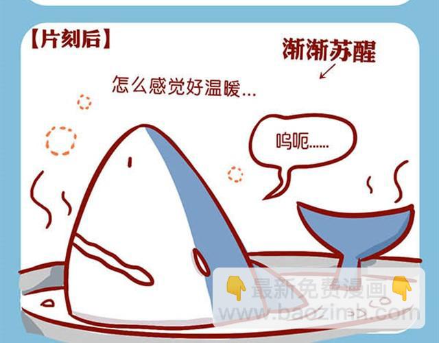 路边捡的别乱吃-第6话