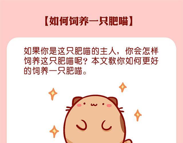如何饲养一只肥喵-第10话