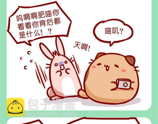 如何饲养一只肥喵-第10话