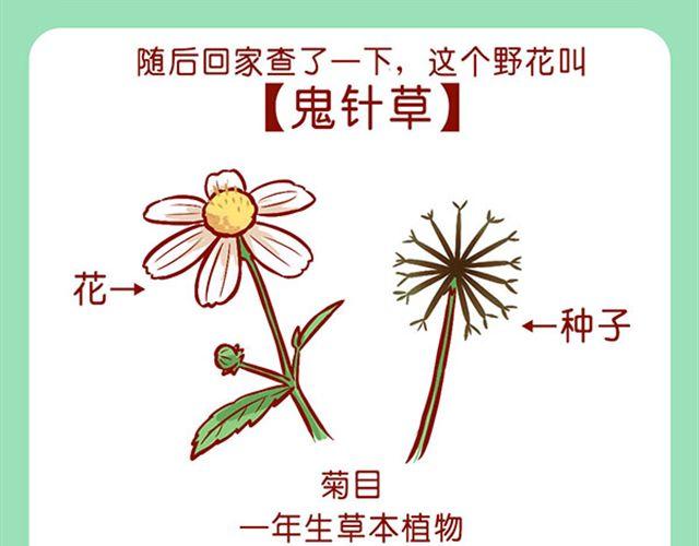 如何饲养一只肥喵-第10话