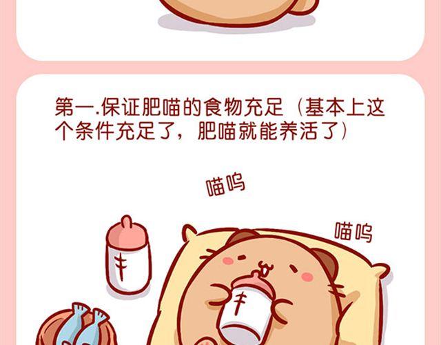 如何饲养一只肥喵-第10话