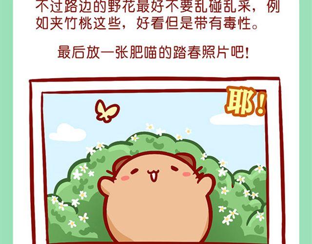 如何饲养一只肥喵-第10话