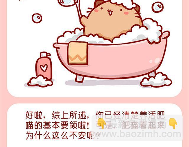 如何饲养一只肥喵-第10话