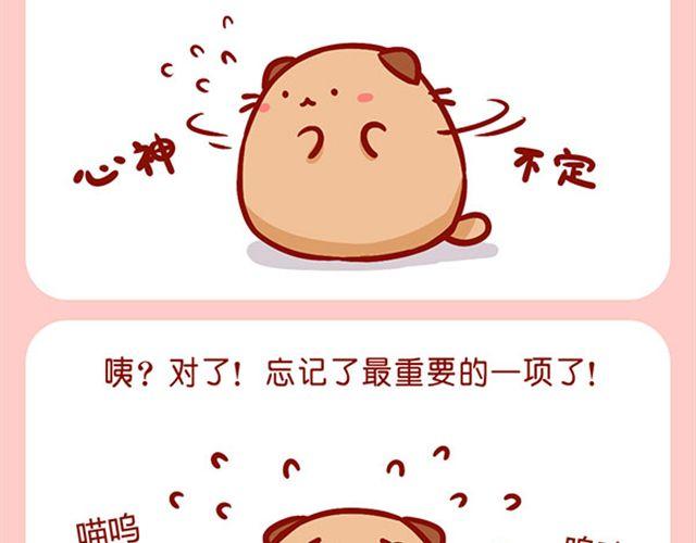 如何饲养一只肥喵-第10话