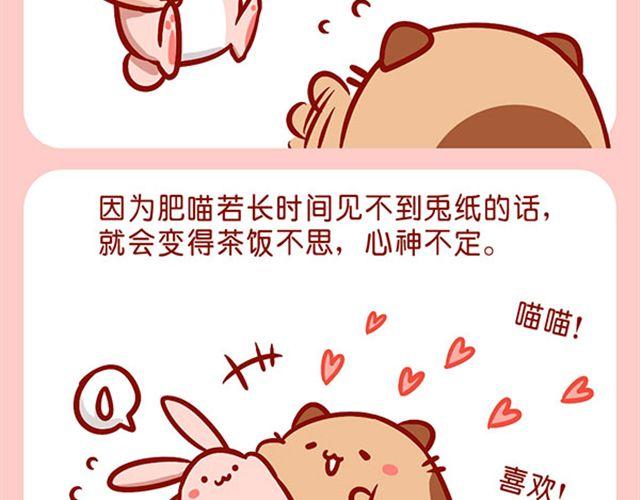 如何饲养一只肥喵-第10话