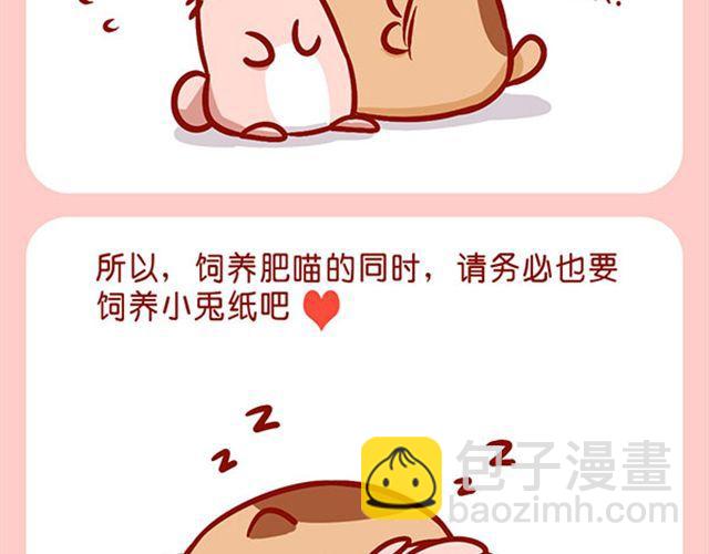 如何饲养一只肥喵-第10话