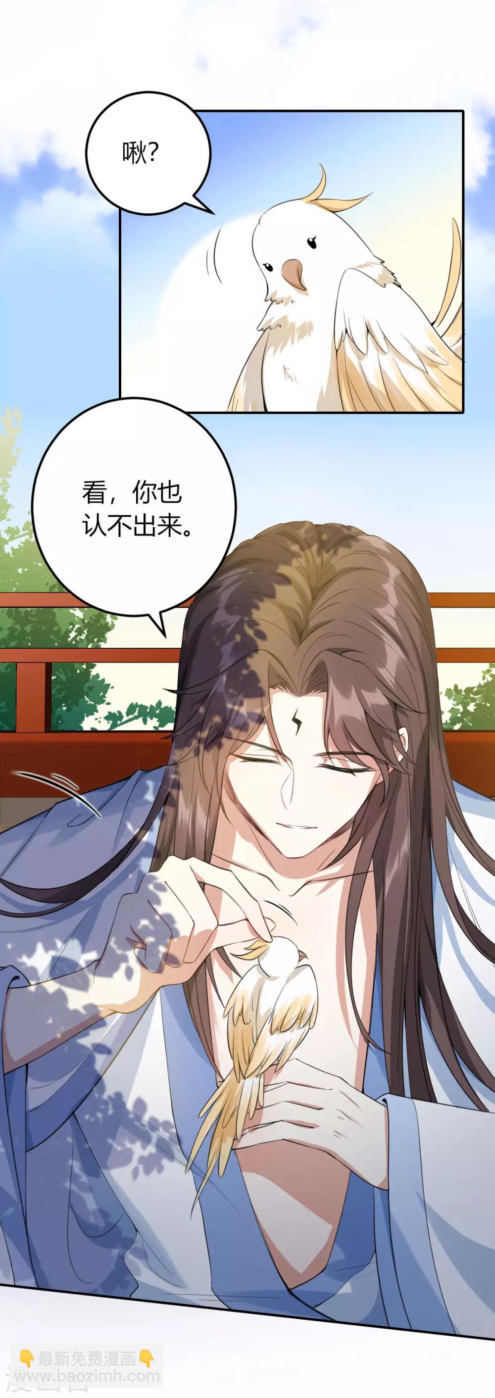 第17话：大会预热-第18话