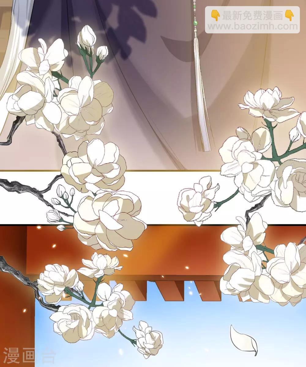 第17话：大会预热-第18话