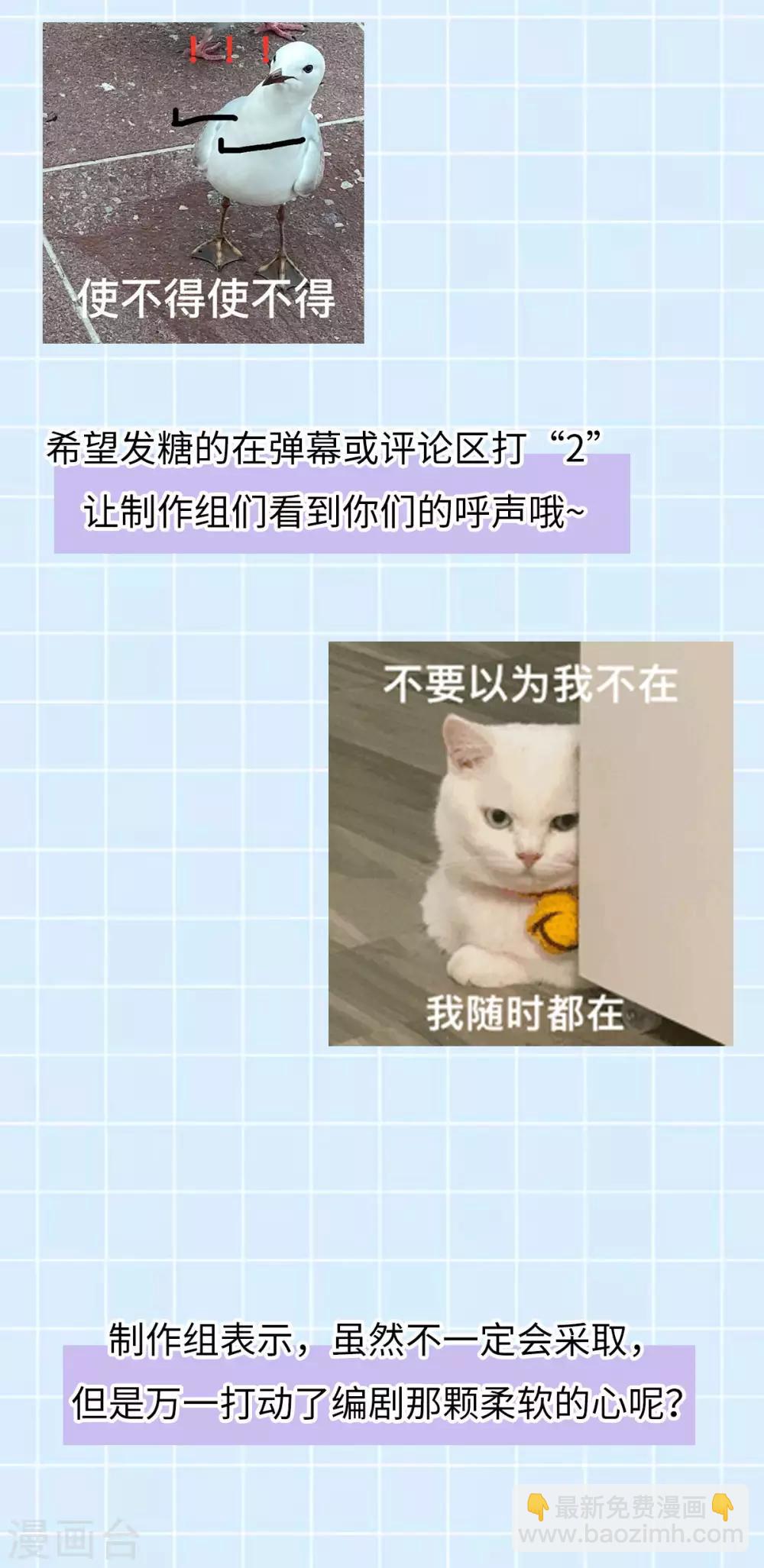 第40话：勾结邪修-第42话