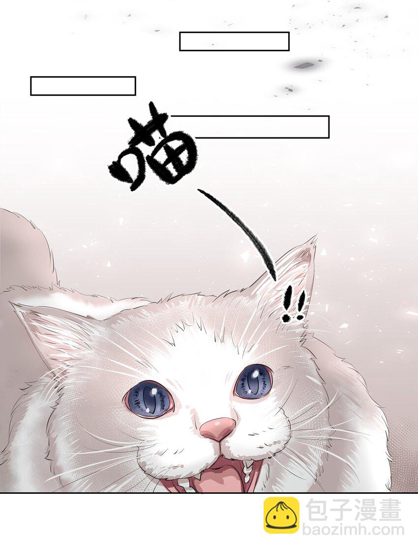 第1章 我就是陆枫(1/2)-第2话