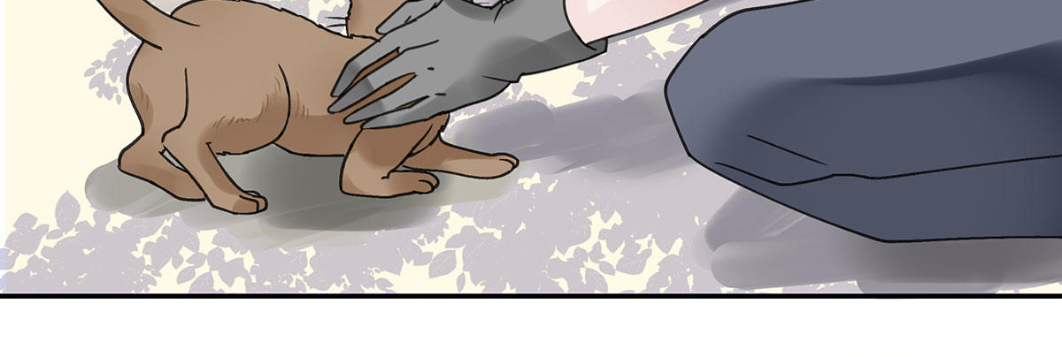 颜斐的秘密(1/2)-第2话