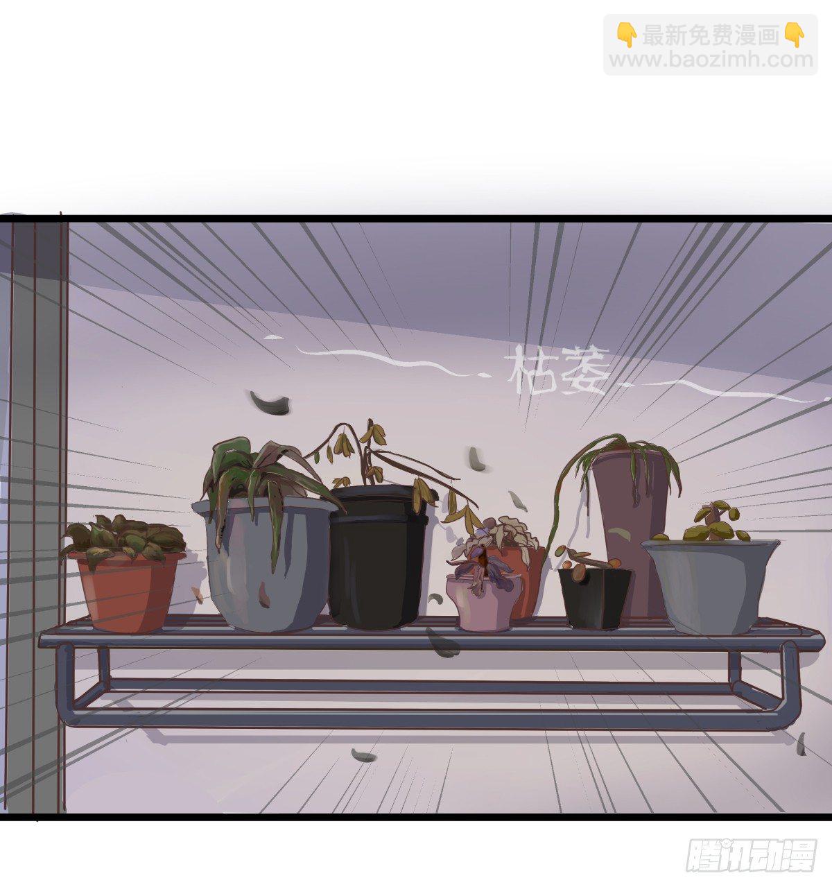 独一无二的牵绊-第8话