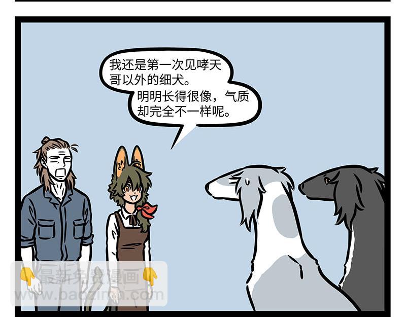 非人哉 - 第355話 細犬 - 1