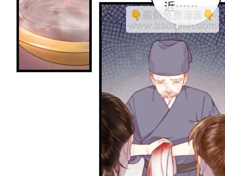 《妃爲九卿》-神醫小嬌妃 - 第143話 中箭(2/2) - 2