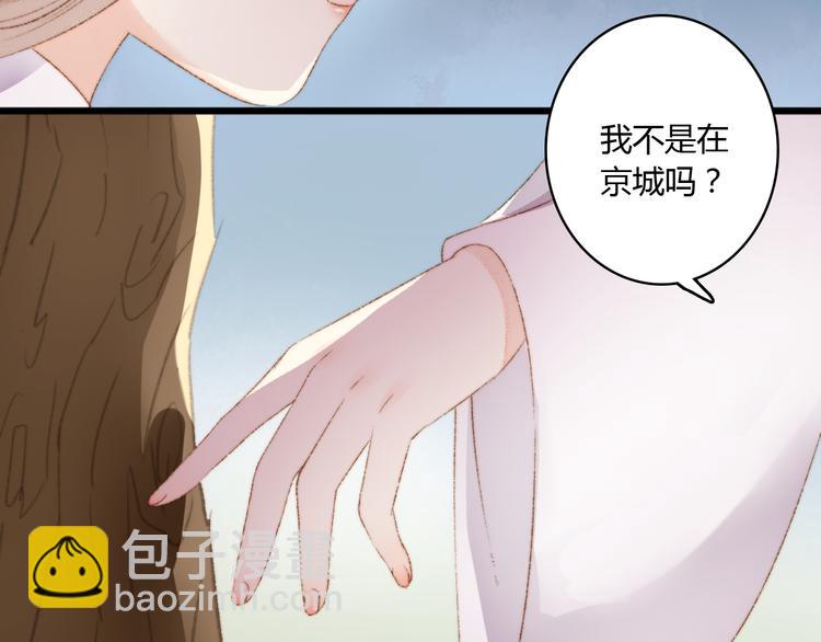 《妃爲九卿》-神醫小嬌妃 - 第3話 春風起 佳人歸(1/2) - 2