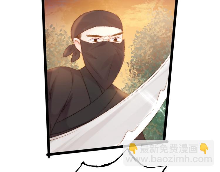 《妃爲九卿》-神醫小嬌妃 - 第41話 遇刺(2/2) - 5