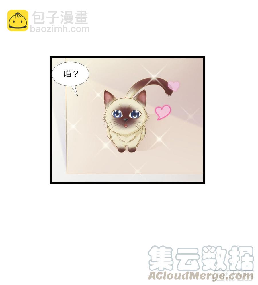 第50话 你们一起去吧-第50话