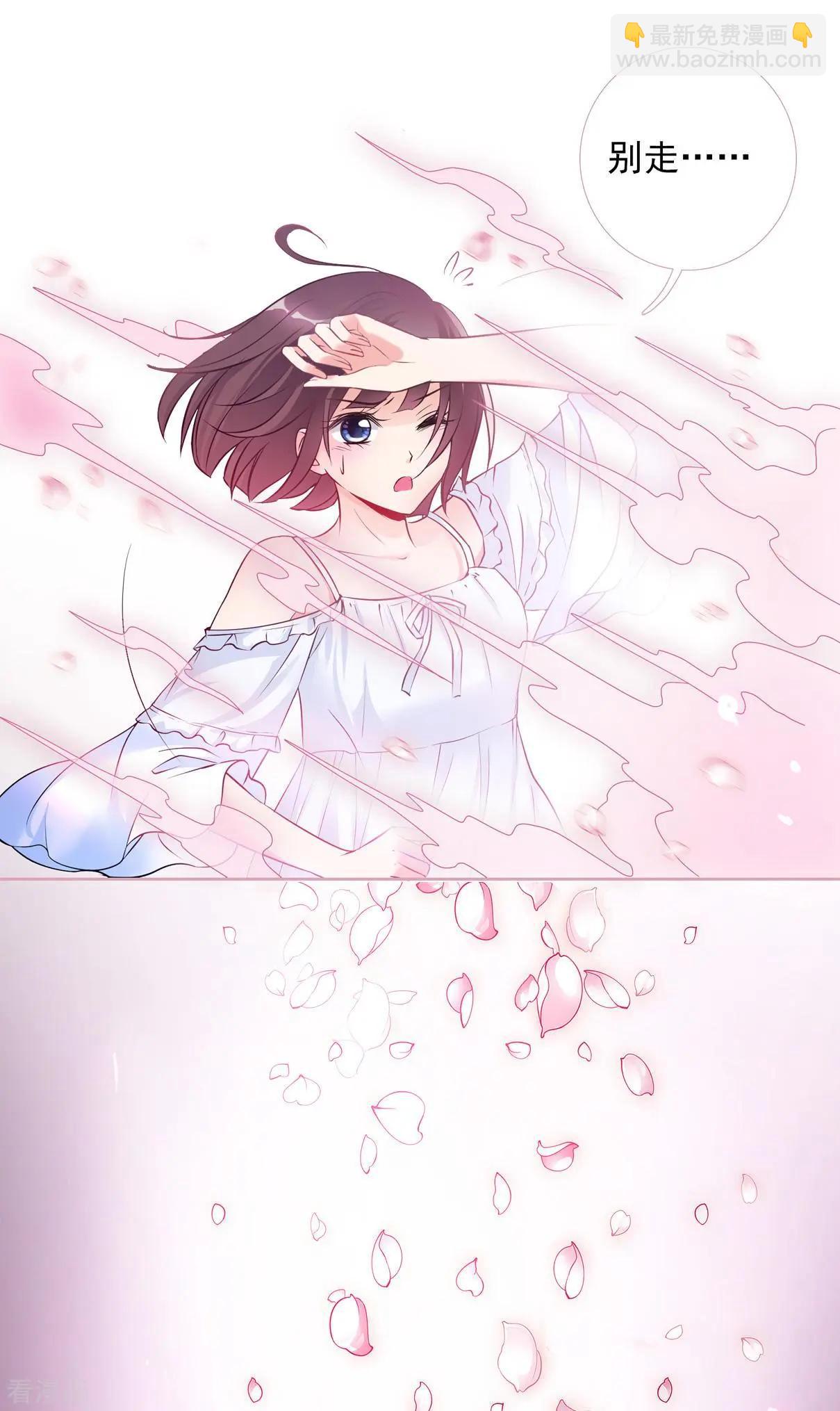 妃·夕妍雪 - 第2季序章 - 2