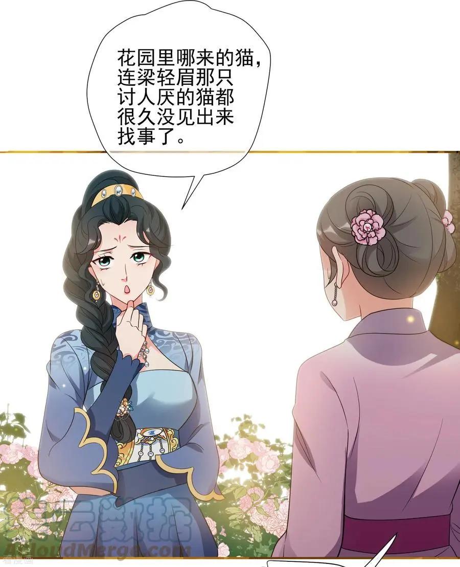 妃·夕妍雪 - 第2季第55話 失蹤的小桃1 - 5