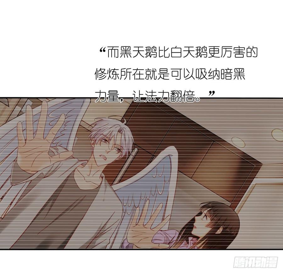 要么成功要么坠入黑暗-第62话