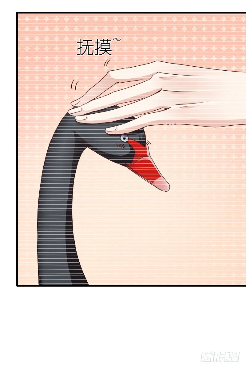 我觉得把戒指还给那个男人(1/2)-第8话