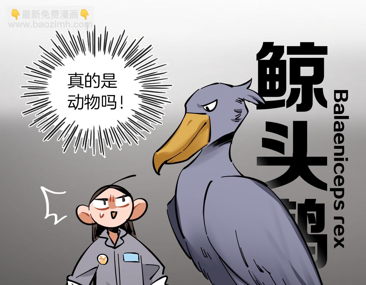 第15话 动物园(1/2)-第16话