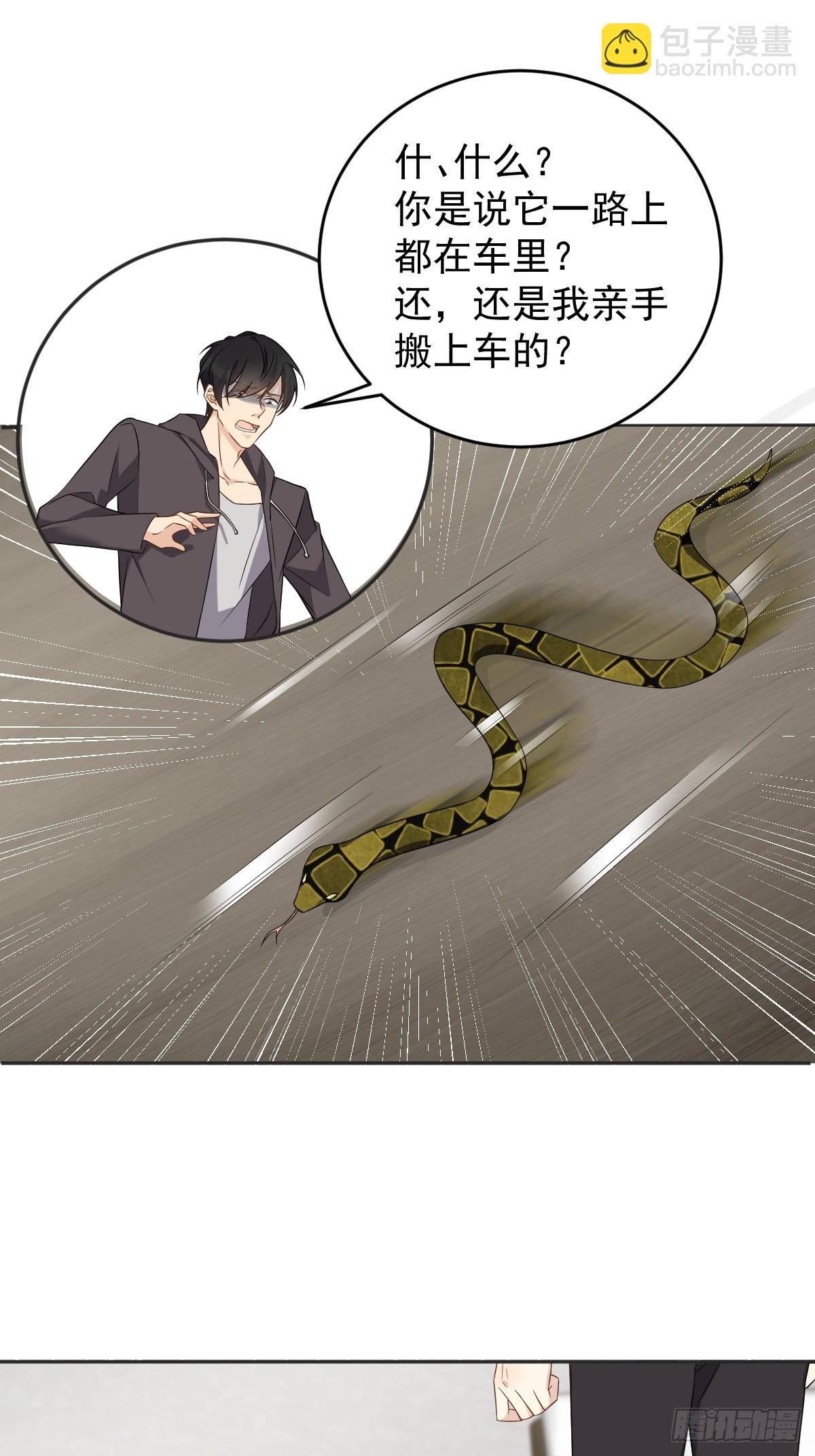 非職業半仙 - 第206話 蛇 - 6