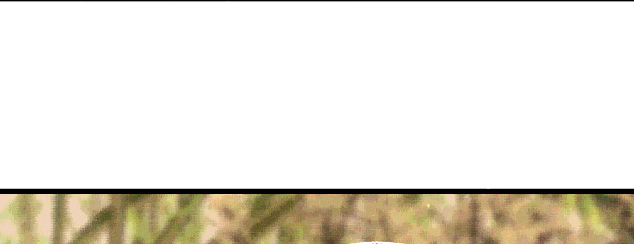 第二十九话 邻国的难题(1/4)-第30话