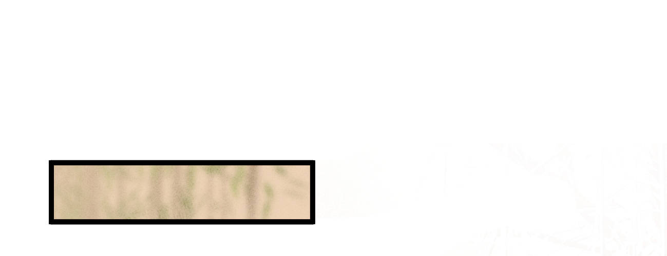 第二十九话 邻国的难题(1/4)-第30话