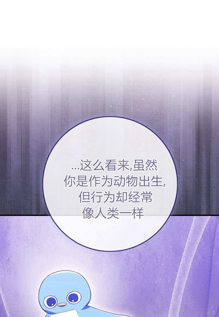 瘋狂虎鯨愛惜的企鵝 - 第38話(1/2) - 1