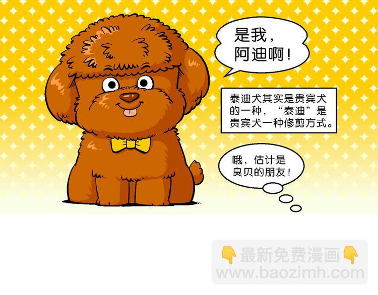 第2话 臭贝相亲记(1/2)-第2话