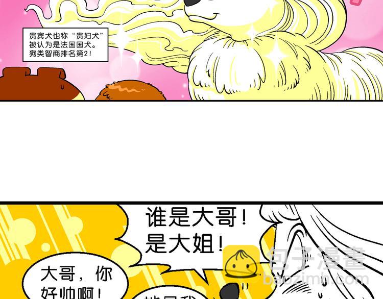 第2话 臭贝相亲记(1/2)-第2话