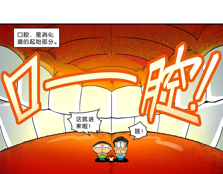 第14话 桂宝小世界之人体旅游(1/2)-第14话