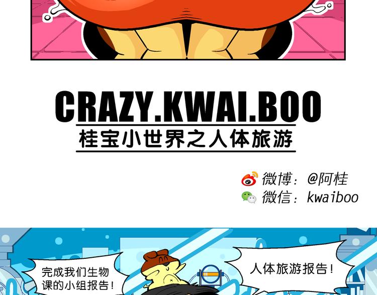 第14话 桂宝小世界之人体旅游(1/2)-第14话