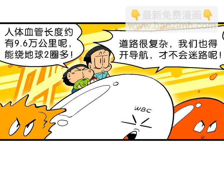 第14话 桂宝小世界之人体旅游(1/2)-第14话