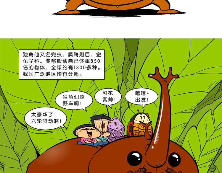 第26话 桂宝小世界大冒险(1/2)-第26话