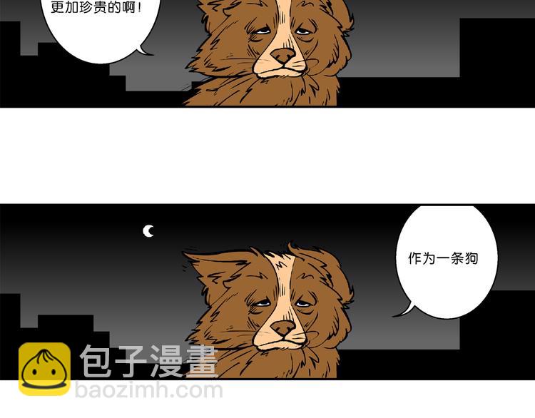 第36话 特疯脑洞系列（13）-第36话