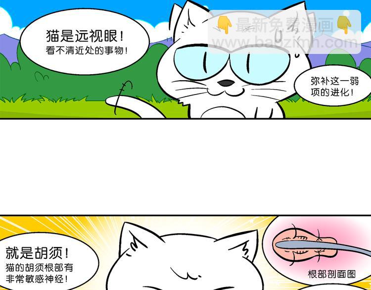 第56话 脑洞系列（21）-第56话