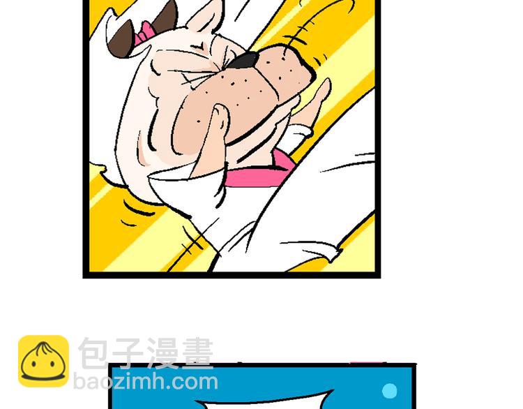 第10话 新白喵传(1/2)-第10话