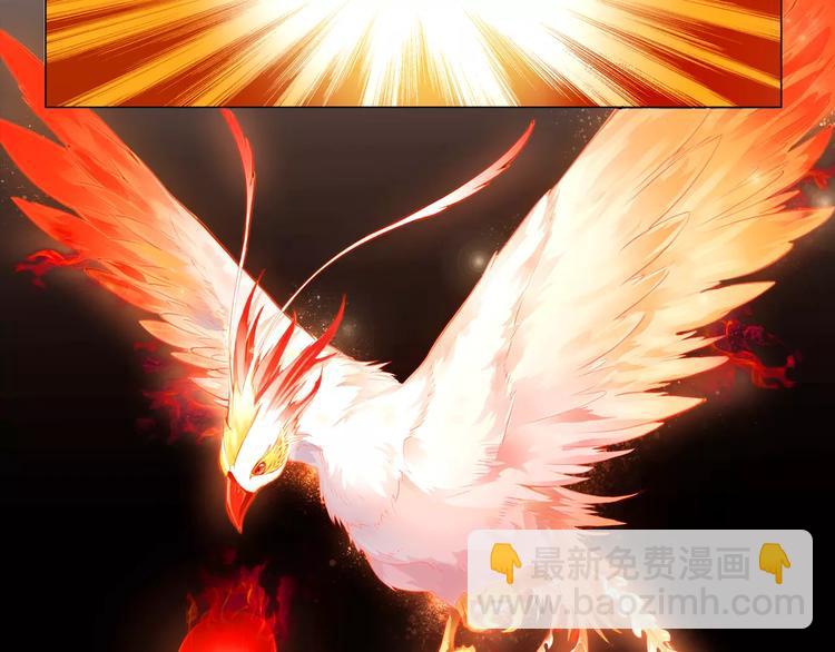 第8话 凤凰(1/2)-第8话