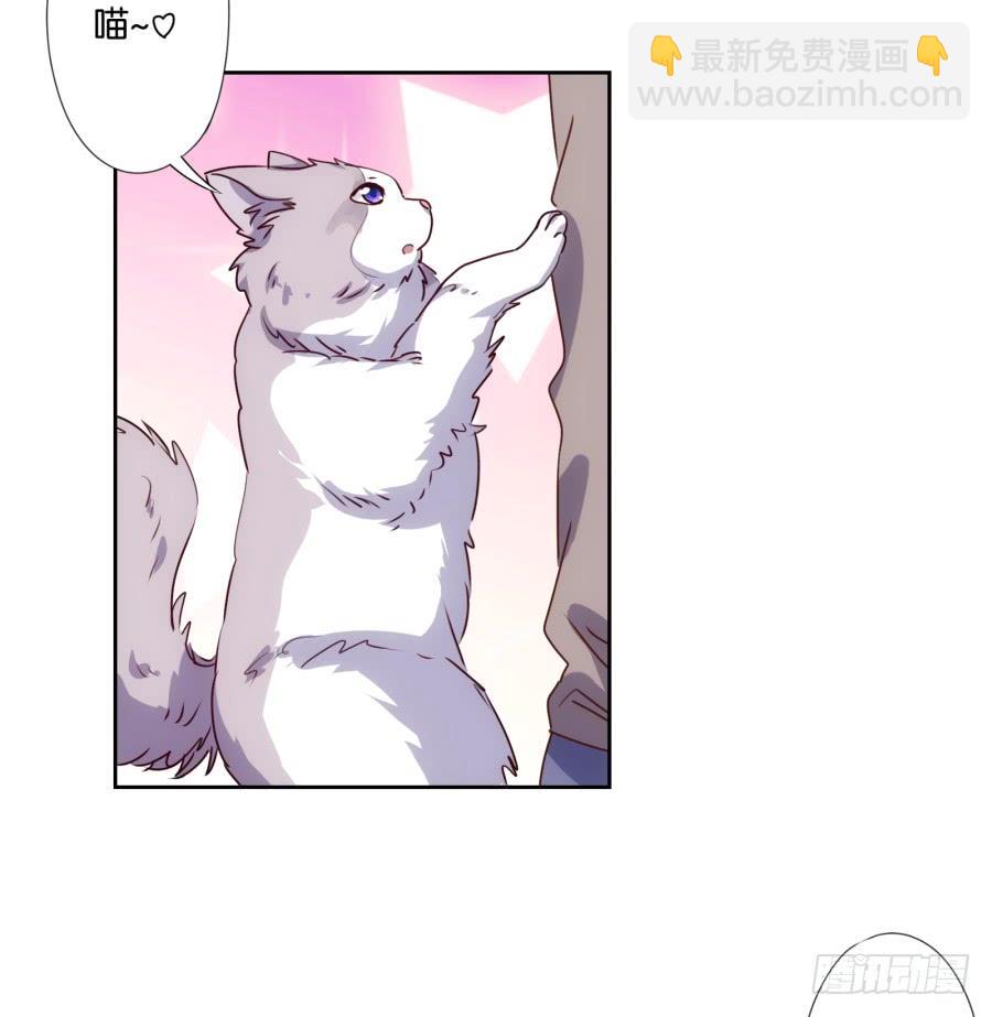 我嗅到了阴谋的味道！-第62话