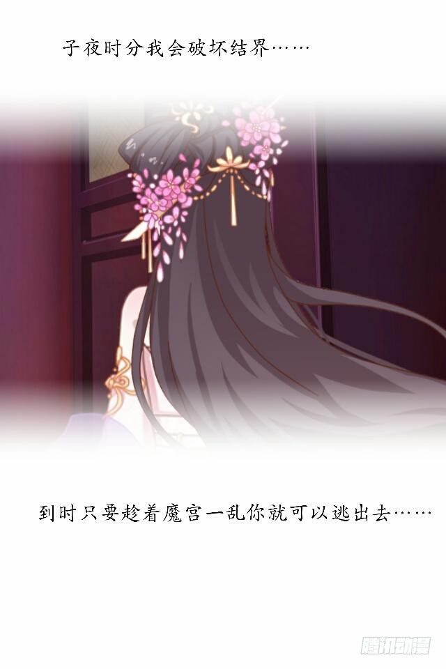 第四十话 自由-第40话