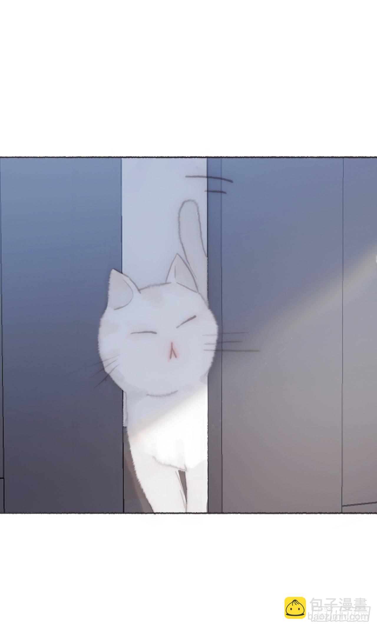 蜜糖陷阱（十四）(1/2)-第64话