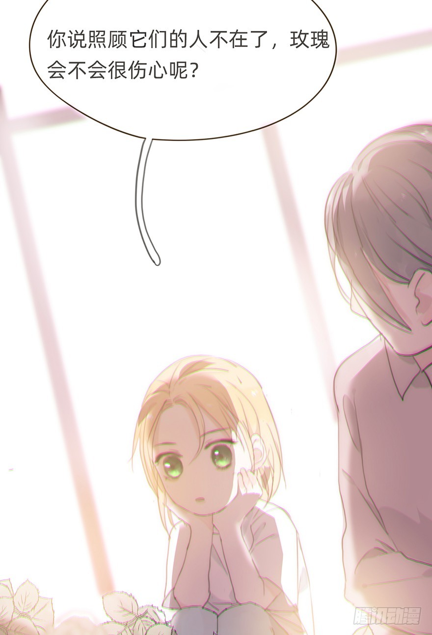 我的美人（九）(1/2)-第26话