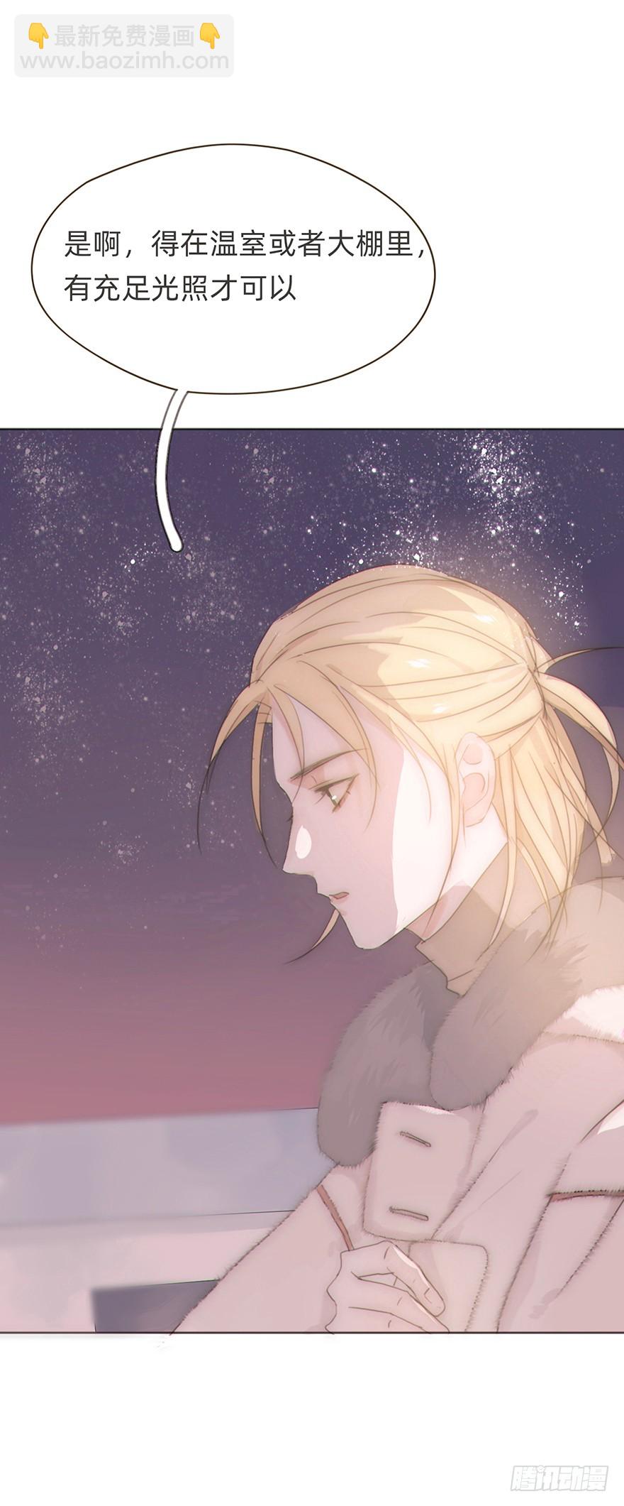 我的美人（九）(1/2)-第26话